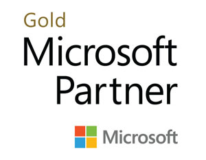 Abzeichen Gold Microsoft Partner