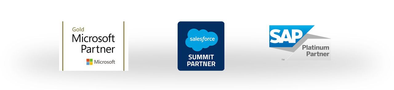 Partner Logos: Gold Microsoft Partner, Salesforce Partner, SAP Platinum Partner