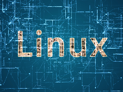 Wir lieben Linux: Wie der Client ins Unternehmen kam